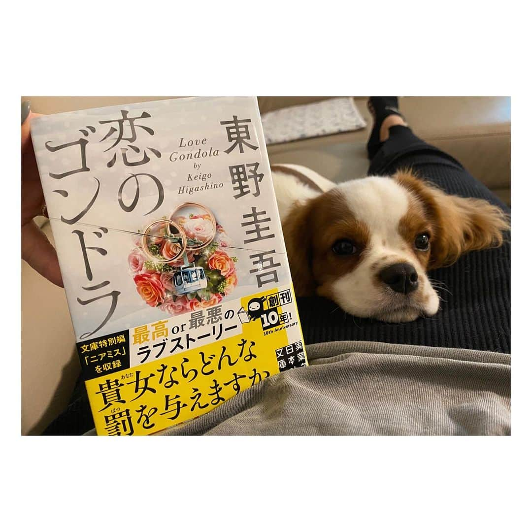 星奈津美さんのインスタグラム写真 - (星奈津美Instagram)「最近お家ではもっぱら読書📖 いろんなジャンルの本を読みます！ 子供の頃は漫画も読まないし、とにかく本を読む集中力がなかったのですが、、、 ある一冊の本を読み切ってからは本を読むことが楽しくなってきました。 「ジャケ買い」とかいうのもしてみたり😎  まだまだ読んだことある本は少ないので、本好きな方におすすめ教えて欲しいです🙏✨ ソファーで読んでいると必ず乗っかってくるハル太🐶  #読書 #本 #小説  #おすすめ教えてください」8月12日 16時19分 - ntm_hoshi