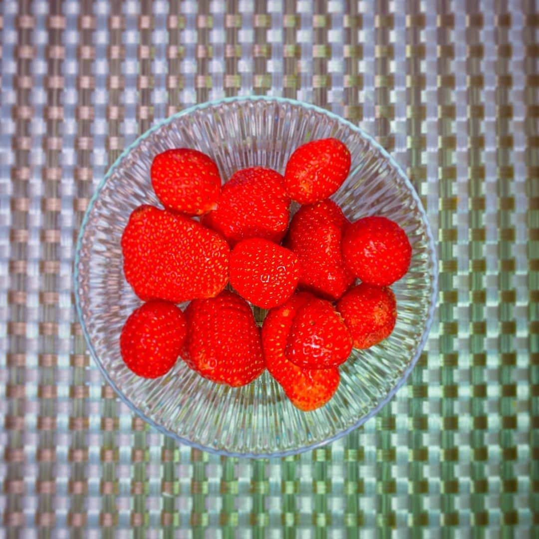 のインスタグラム：「いただいたいちご😊🍓 夏でもいちごが食べられるなんて幸せ…💗 ごちそうさまでした☺️✨✨」