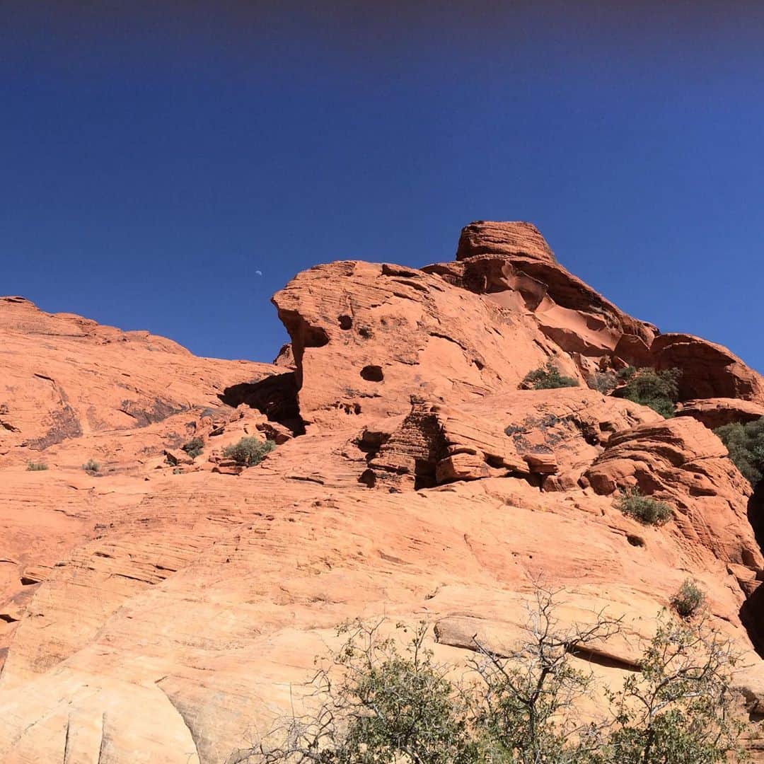 のインスタグラム：「Redrock in Vegas. レッドロックマウンテン！ #redrock  #lasvegasviews  #ラスベガス生活 #ラスベガス情報」