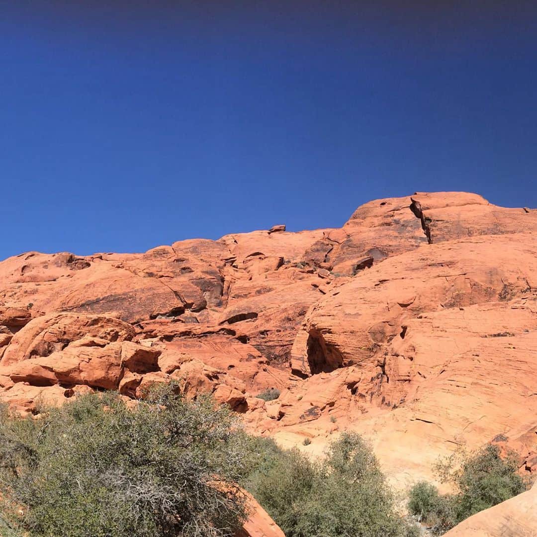 のインスタグラム：「Red Rock.  レッドロック！ #redrock #lasvegasviews  #ラスベガス生活 #ラスベガス情報」