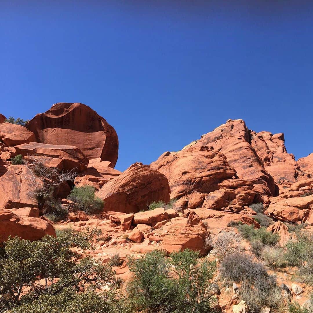 のインスタグラム：「Redrock レッドロック！ #redrock #lasvegasviews  #ラスベガス生活 #ラスベガス情報」