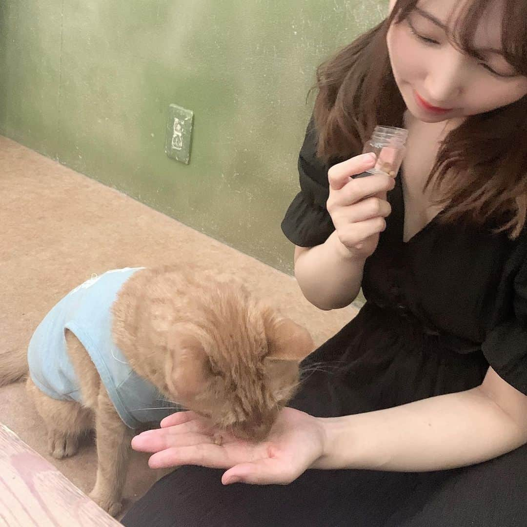 愛花みちるさんのインスタグラム写真 - (愛花みちるInstagram)「弟チャンと猫カフェ🐈🐾🍩☕  #猫カフェ#てまりのおうち #東京#吉祥寺#お出かけ#followｍe」8月12日 8時07分 - manaka_michiru