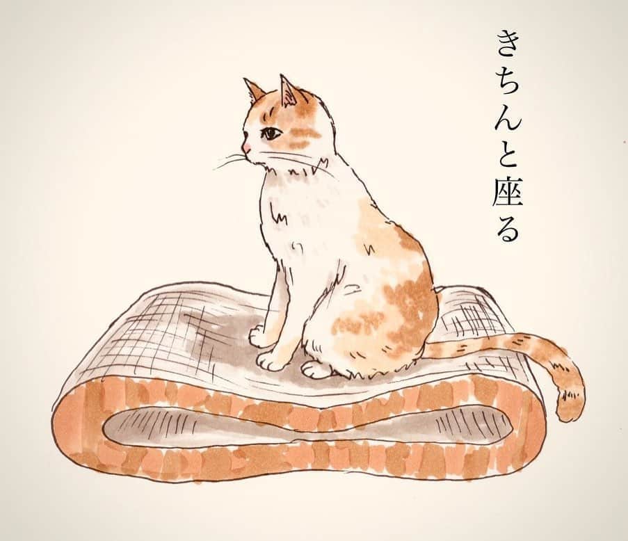 猫壱（ねこいち•ネコイチ）さんのインスタグラム写真 - (猫壱（ねこいち•ネコイチ）Instagram)「. 【#猫壱ストーリー 教えてください👍】 ▫ きちんと座る(*´∀｀*) ▫ #使い方だった猫さんが #リラックスしてくれるように❤︎ #バリバリベッド8をめぐるストーリー✨ ▫ ▫ 猫壱ストーリーを教えてくださって @kaoru_suu さんありがとうございました😆💕✨ ▫ ▫ ▫ :::::::::#猫壱 ::::::: #猫壱キャンペーン 8月は猫壱の全商品が対象です😺❤ お写真の商品は#バリバリベッド8 でした✨ ▫ バリバリベッド8 は現在在庫切れです💦 次回販売は10月になります💦 今しばらくお待ち下さい(* >ω<) ▫︎ 猫壱商品をお持ちの方は @necoichicojp から応募要項をチェックして是非ご応募くださいね❤ ▫」8月12日 8時20分 - necoichicojp