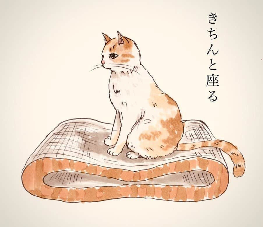 猫壱（ねこいち•ネコイチ）のインスタグラム