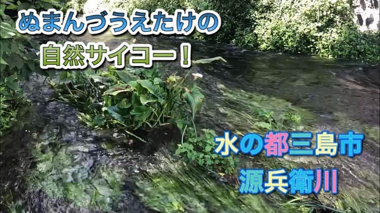 うえたけさんのインスタグラム写真 - (うえたけInstagram)「ぬまんづの必殺技チャンネル！というYouTubeチャンネル内のぬまんづうえたけの自然サイコー！というコーナーが更新されました！ 静岡県の自然スポットをご紹介している動画となっておりますので是非とも皆様ご覧ください！  #ぬまんづ #うえたけ #自然 #サイコー」8月12日 9時56分 - numanzu_uetake