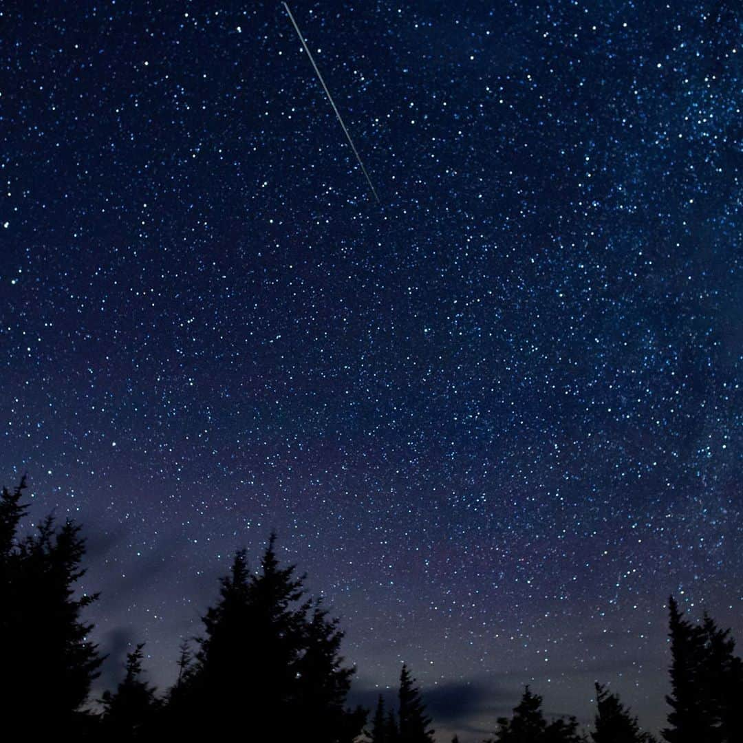 NASAさんのインスタグラム写真 - (NASAInstagram)「Watch the skies! ☄️ The Perseid meteor shower is here, peaking in the pre-dawn hours of Aug. 12.   Perseid meteors, caused by debris left behind by the Comet Swift-Tuttle, began streaking across the skies in late July. The Perseids are best seen between about 2 a.m. your local time and dawn. The Moon rises at around midnight, so its brightness will affect the peak viewing window. However, even though the Moon’s phase and presence will keep the frequency of visible meteors lower, there is still nearly one meteor every two minutes during the peak. A Perseid is seen streaking across the sky in this 30 second exposure, taken on Aug. 13, 2015 in Spruce Knob, West Virginia during the annual meteor shower.  Can't get outside? Weather not cooperating? NASA TV has you covered. Tune in starting at 9 p.m. EDT (0100 UTC) through sunrise for a Perseids livestream from our Meteor Watch camera at @nasa_marshall: www.nasa.gov/live  Credit: NASA/Bill Ingalls   #Perseids #meteors #MeteorShower #stargazing #skywatching #nightsky #nasa」8月12日 10時03分 - nasa