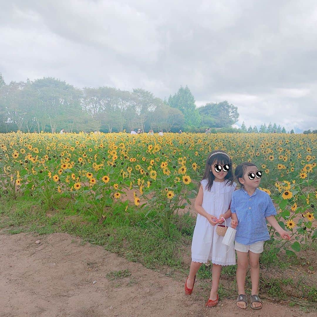 堀江直美さんのインスタグラム写真 - (堀江直美Instagram)「夏らしくかき氷🍧 * @fukuchiin.imakouya は宿坊を再生してあり広い店内でスタッフの方々もとても優しくてかき氷最高でした✌🏻 * まだまだ知らない場所が沢山✨探検しているみたいで楽しかった💛 * 子供達のお洋服沢山DM頂いたのでタグ付けしてます🏷 * @sansakae_petit 🌻 * * #福智院#福智院カフェ#雪月風花福智院#世羅#世羅カフェ#広島カフェ#hiroshima#広島かき氷#sansakaepetit#キッズファッション#hnbFashion#vintageqoo#家族時間#子育て#ママライフ#女の子ママ#男の子ママ#父娘」8月12日 10時04分 - naomiiiiiiiiiiii