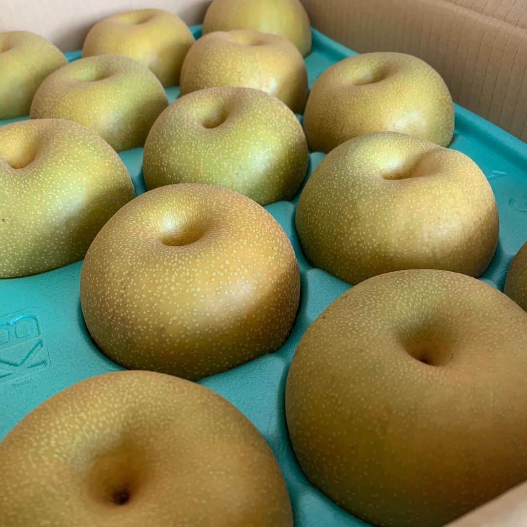 佐々木希さんのインスタグラム写真 - (佐々木希Instagram)「メロンと梨。 冷やして食べて、とても美味しい✨ 友人に感謝です。」8月12日 10時23分 - nozomisasaki_official