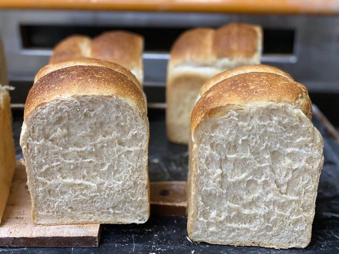 魔女菅原のグルメインスタ