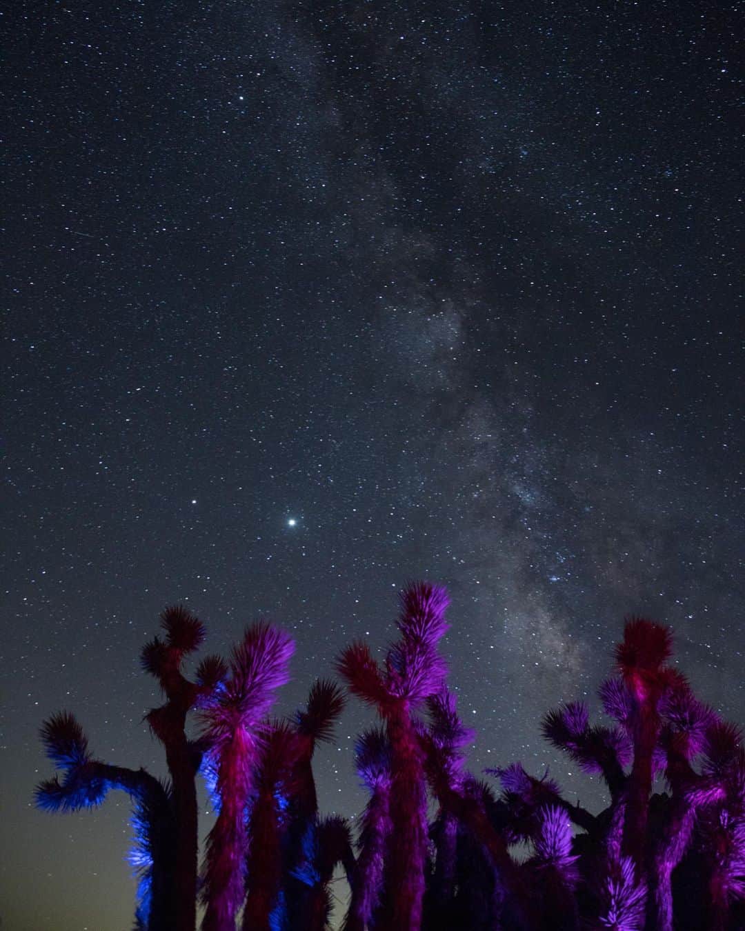 ローレン·ランドルフのインスタグラム：「I try to spend as much time as possible looking up in to space this time of year. Swipe to see my best attempt at photographing the Neowise comet. ☄️」