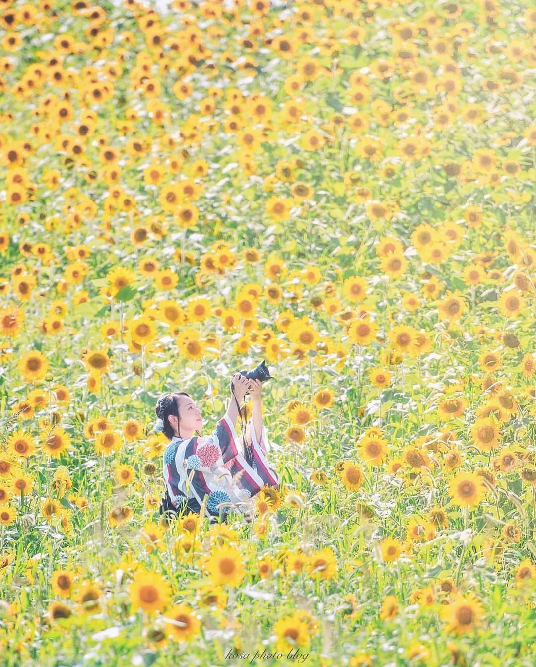 コサのインスタグラム