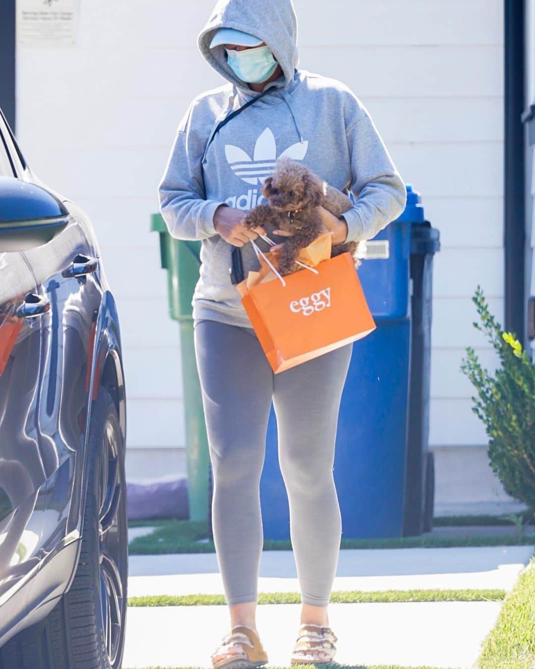 Just Jaredさんのインスタグラム写真 - (Just JaredInstagram)「@katyperry runs errands and stops to visit friends with her pup Nugget in LA. #katyperry  Photos: Backgrid」8月12日 11時56分 - justjared