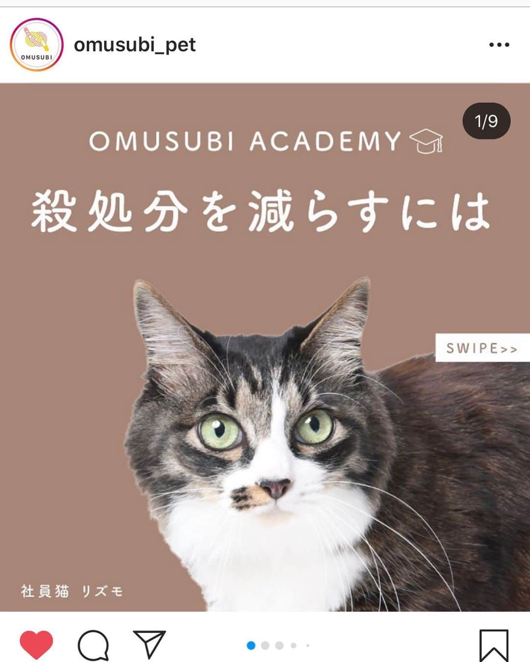 徳井義実さんのインスタグラム写真 - (徳井義実Instagram)「保護犬猫を迎えるという選択肢  @omusubi_pet」8月12日 12時08分 - tokui_yoshimi