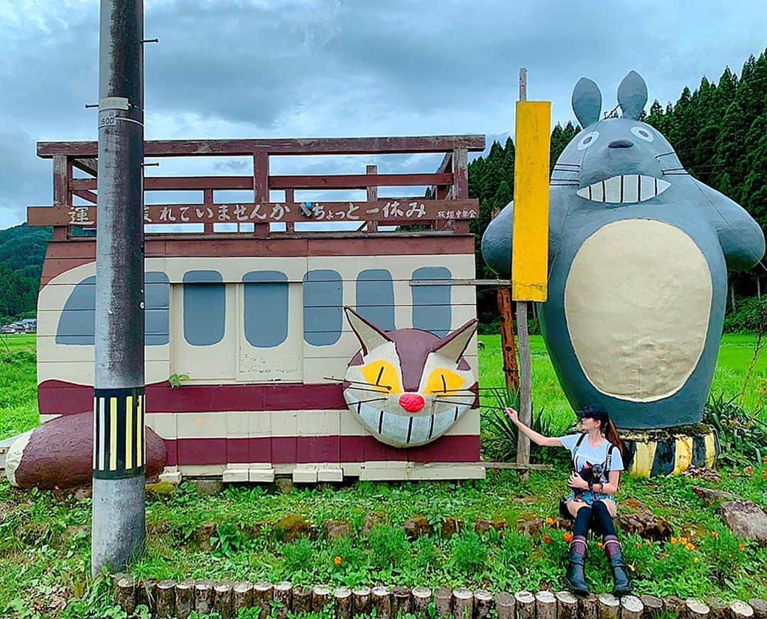 のインスタグラム：「Warp to the My Neighbor Totoro world take a walk 🎶🎶🎶  #japan #日本 #studioghibli #ジブリ #スタジオジブリ #宮崎駿 #myneighbortotoro  #となりのトトロ #fantasy  #ファンタジー #anime  #アニメ #movie  #映画 #takeawalk  #お散歩 #warp #ワープ #travel  #travelphotography  #travelgram」