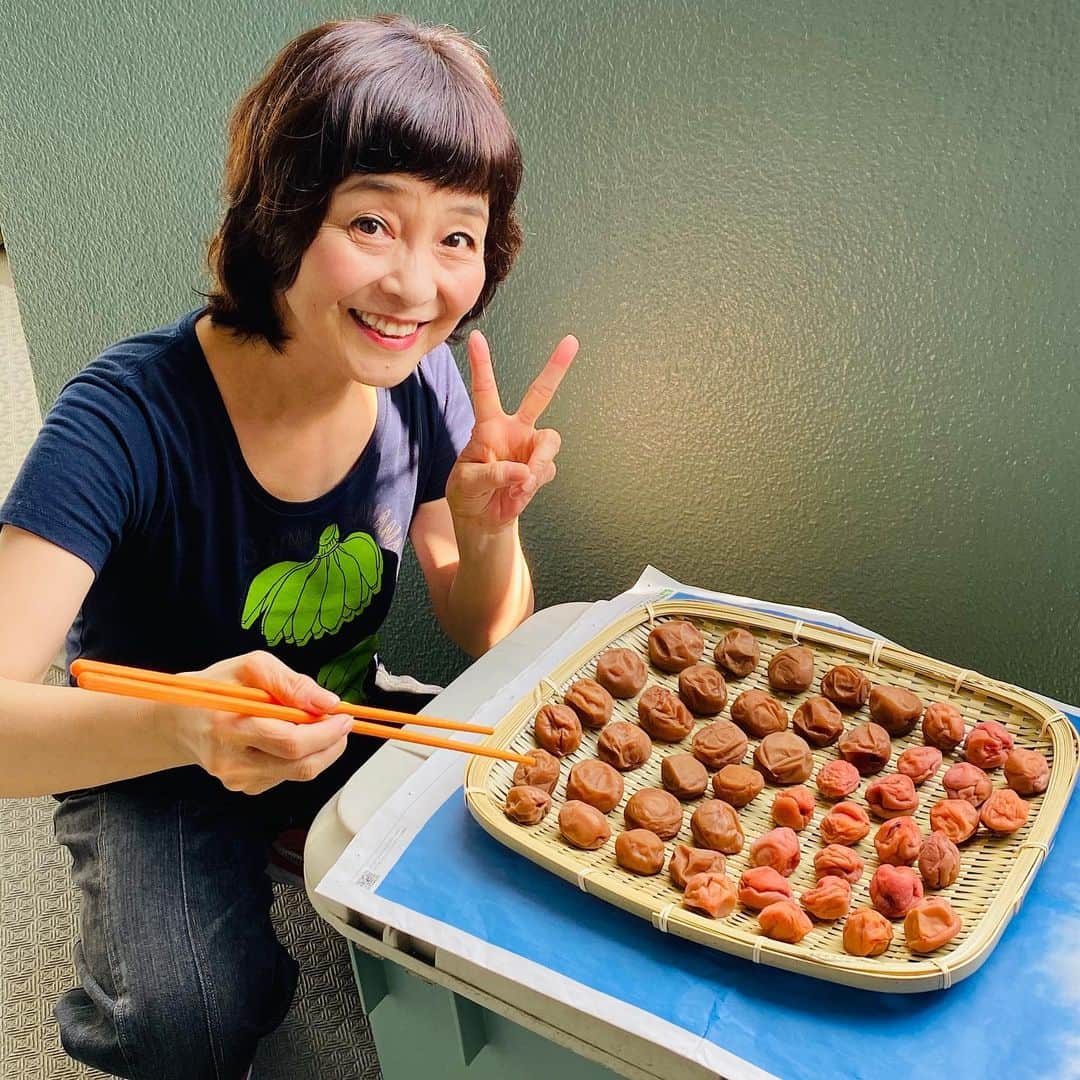 日髙のり子のインスタグラム：「＊＊＊﻿ 2020年梅干し完成しましたー✨✨﻿ （#あさイチ の公式Instagram @nhk_asaichi では、別カットの写真が見られます❣️）﻿ ﻿ 手前が完熟を待って漬けた白梅干し。﻿ 奥の２つは完熟を待たずに漬けて、赤紫蘇を入れたもの。﻿ ﻿ 塩分18%なので、本気の酸っぱさとしょっぱさです😵﻿ ﻿ 不思議なのは、三日三晩干したものは「果肉がないの？」というくらいカラカラだったのですが、家の湿気でほどよく潤い果肉が戻って来ました！笑﻿ ﻿ 一日一晩だけ干したものと大差のない感じに…不思議だわ〜🤫﻿ ﻿ 来年は両親が安心して食べられるように、減塩の梅干し作りにチャレンジしたいと思います❣️  #梅 #梅仕事 #梅干し #酸っぱい #しょっぱい #自家製 #おうち時間」