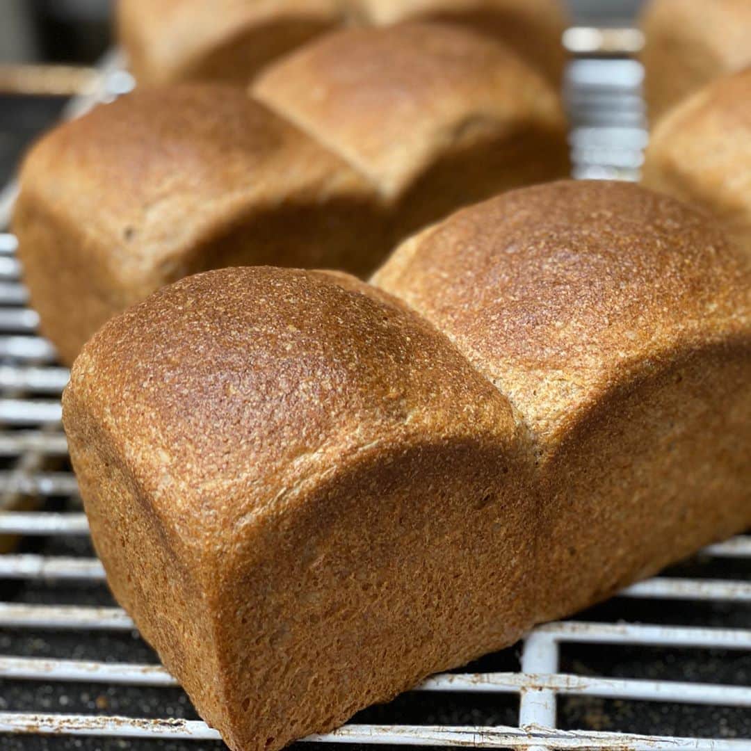 魔女菅原のグルメインスタ