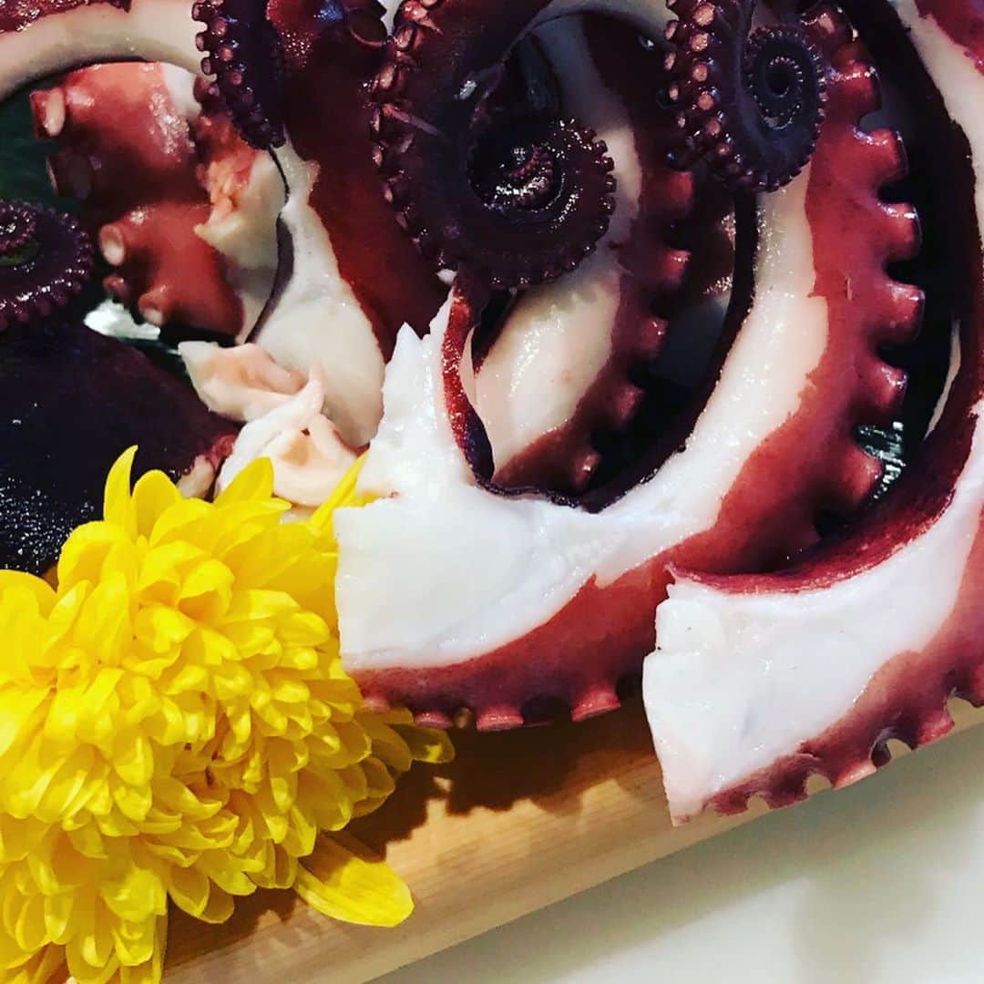 魚金さんのインスタグラム写真 - (魚金Instagram)「市場で活魚を買うと空気をパンパンに入れて出荷してくれます。  ビンビンの活タコをヌメリを塩でとってからとにかく揉む！ 30分位揉み続けるとタコの皮膚が鮫肌の様になり水掻きの所が締まってきます。この揉みが甘いと水掻きの所がぶよぶよだったり皮の赤い部分がズル剥けたりするんです。 桜煮などにする場合は又違う処理になるんですがお刺身用に茹で蛸するなら頑張って揉んでみましょう！  やっぱりマダコは旨いっす  仕入部　片之坂 #錦町#新橋#玉子#居酒屋#銀座#京橋#さんま#海鮮丼#刺身#吉祥寺#オイスター#池袋#さんま#ぶり#刺身盛り合わせ#パエリア#渋谷#魚好きと繋がりたい #レモンサワー#始めました#神楽坂#横浜グルメ#飲酒タグラム#野菜たっぷり#日本酒好きな人と繋がりたい #おべんとう記録 #マダコ#ステーキ#鳥 #yummy」8月12日 14時12分 - uokin_koho