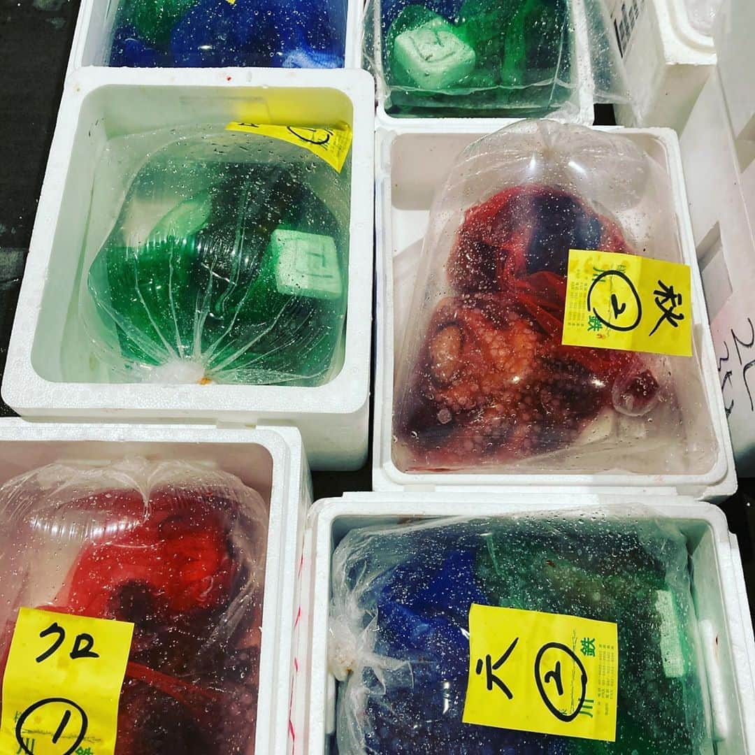 魚金さんのインスタグラム写真 - (魚金Instagram)「市場で活魚を買うと空気をパンパンに入れて出荷してくれます。  ビンビンの活タコをヌメリを塩でとってからとにかく揉む！ 30分位揉み続けるとタコの皮膚が鮫肌の様になり水掻きの所が締まってきます。この揉みが甘いと水掻きの所がぶよぶよだったり皮の赤い部分がズル剥けたりするんです。 桜煮などにする場合は又違う処理になるんですがお刺身用に茹で蛸するなら頑張って揉んでみましょう！  やっぱりマダコは旨いっす  仕入部　片之坂 #錦町#新橋#玉子#居酒屋#銀座#京橋#さんま#海鮮丼#刺身#吉祥寺#オイスター#池袋#さんま#ぶり#刺身盛り合わせ#パエリア#渋谷#魚好きと繋がりたい #レモンサワー#始めました#神楽坂#横浜グルメ#飲酒タグラム#野菜たっぷり#日本酒好きな人と繋がりたい #おべんとう記録 #マダコ#ステーキ#鳥 #yummy」8月12日 14時12分 - uokin_koho