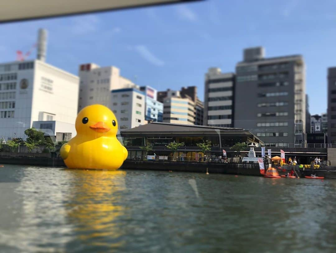 去来川奈央のインスタグラム