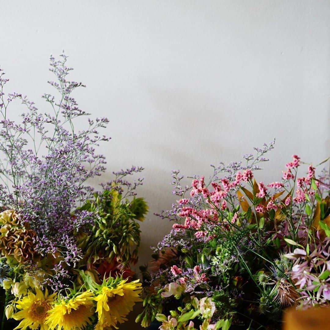 前田有紀さんのインスタグラム写真 - (前田有紀Instagram)「先日公開されたBOTANISTさんのウェビムービー「植物と共に生きる。ニューノーマルの時代の新しい生き方」 のインタビューを受けました。　（ダイジェストは2枚目の投稿から見られます、swipeしてください！） .  「植物と人の健康について」をテーマにした千葉大学大学院准教授の岩崎寛さんのお話からin living. ririkaさん、歌人・小説家の加藤千恵さんと一緒に、それぞれの視点での「自分にとっての植物とは」をテーマにお話しさせていただきました。 撮影はステイホーム期間だったので、自宅のリビングからリモートでインタビューを受け、家族で散歩するいつもの原っぱや庭先から感じる自然について日々の暮らしを記録しました。 植物との距離が縮まるといいな、身近な自然に目を向けたくなるような素敵な動画です。ぜひご覧ください！ . また、 @botanist_official さんでのキャンペーンも実施されています。コロナの影響を受けて多くのイベントが中止、延期となり、需要の低迷や値崩れで花の生産者とお花は厳しい状況にあるということで、このキャンペーンでは参加者数に応じてお花を購入し、花生産者の支援やフラワーロスの削減につなげていくそうです。 花の仕事に従事している私としてもとても意義を感じている企画です。詳細は　@botanist_official さんのアカウントで！ . . 本編映像 https://www.youtube.com/watch?v=F1LIn00iBEQ&t=86s Web CM https://youtu.be/BRaiyROBVZo  #共に生きる_BOTANIST #共に生きる_COEXISTENCE #BOTANIST #ボタニスト」8月12日 14時30分 - yukimaeda0117