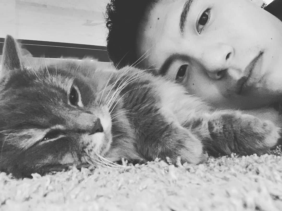 宮崎秋人さんのインスタグラム写真 - (宮崎秋人Instagram)「テーブルの下がお好きらしい。 #cat #猫 #cats」8月13日 0時28分 - shuto_miyazaki