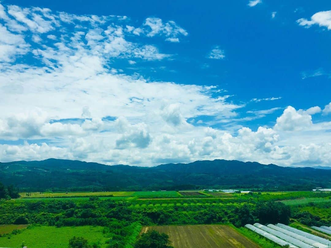 中村千尋さんのインスタグラム写真 - (中村千尋Instagram)「帰りたい 夏の熊本に一目会いたい 夏が呼吸してるようなあの匂い嗅ぎたい😷」8月13日 0時40分 - nanakanakamurachihiro