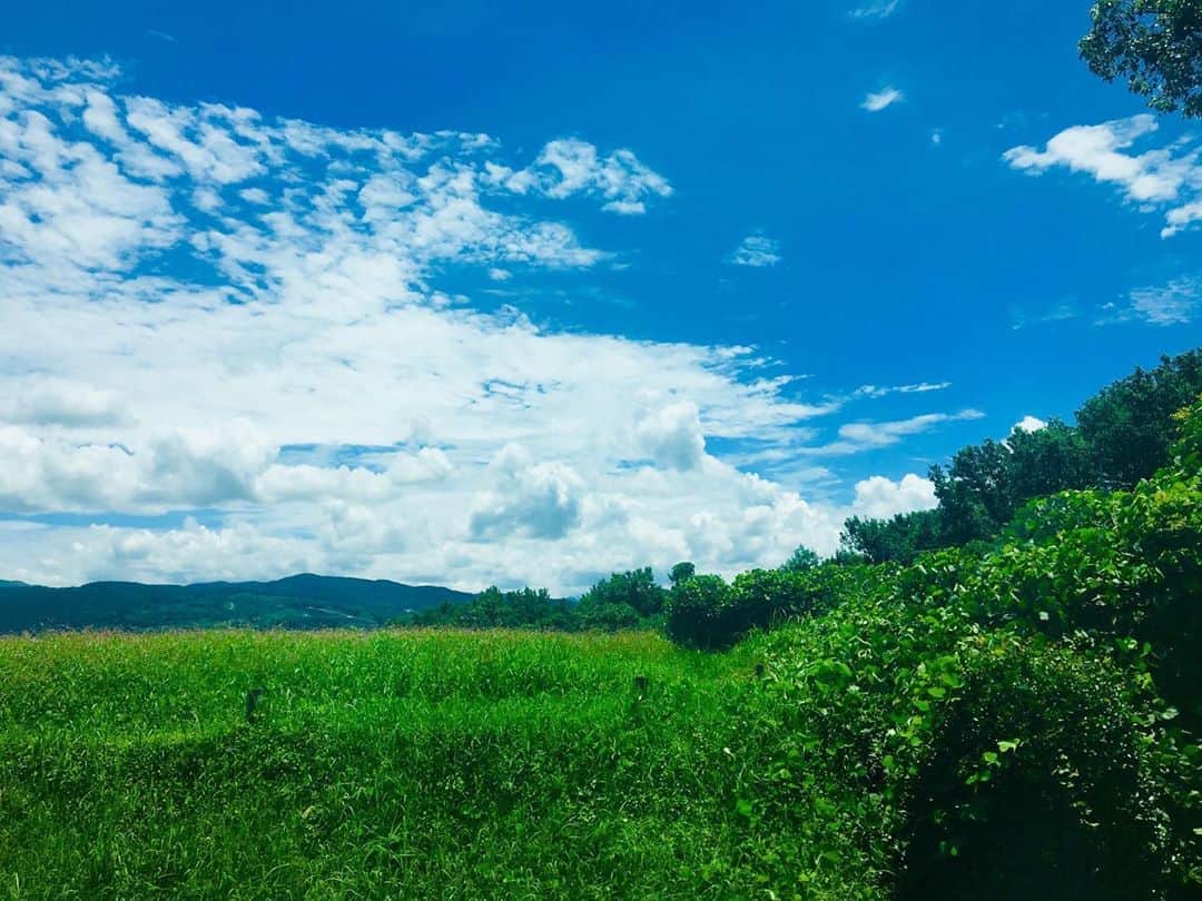 中村千尋さんのインスタグラム写真 - (中村千尋Instagram)「帰りたい 夏の熊本に一目会いたい 夏が呼吸してるようなあの匂い嗅ぎたい😷」8月13日 0時40分 - nanakanakamurachihiro