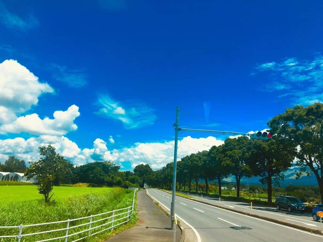 中村千尋さんのインスタグラム写真 - (中村千尋Instagram)「帰りたい 夏の熊本に一目会いたい 夏が呼吸してるようなあの匂い嗅ぎたい😷」8月13日 0時40分 - nanakanakamurachihiro