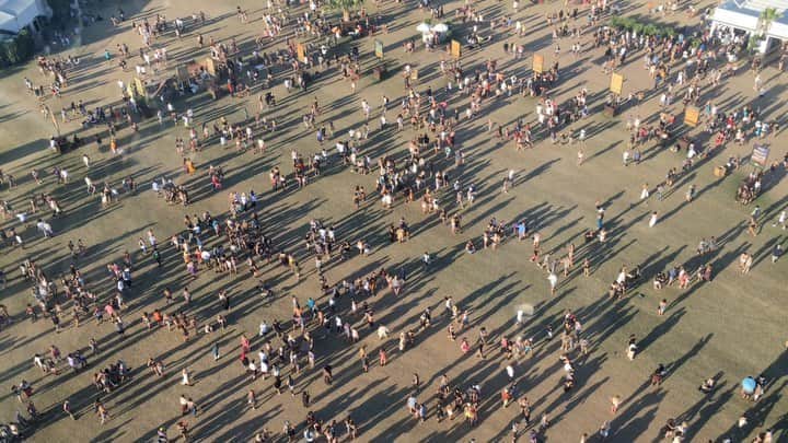 Samuel Lippkeのインスタグラム：「Where’s Waldo and what psychedelic is he on? Remember the days we had music festivals? #Festivalforants」
