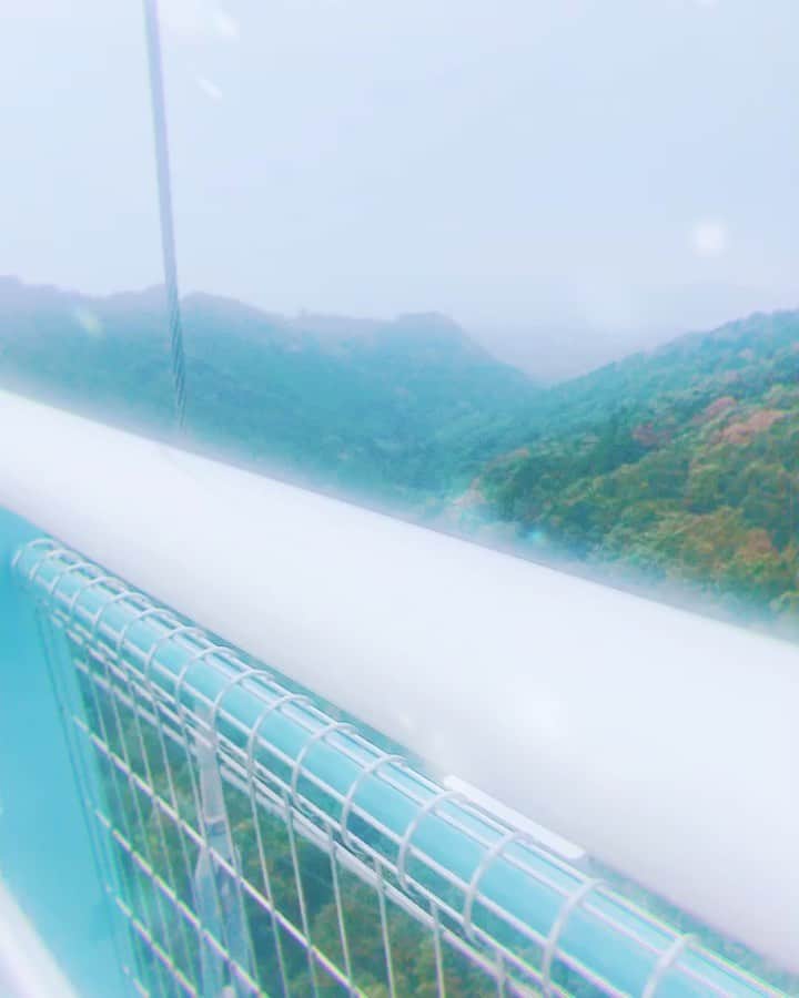 陽向こはるのインスタグラム：「スカイウォークのめっちゃ高い橋こんな感じだった！！😳 高所恐怖症の人注意！！！  #三島 #三島スカイウォーク #静岡 #橋 #自然 #フォローミー」