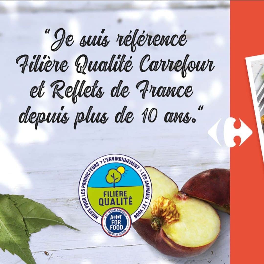 Carrefour Franceさんのインスタグラム写真 - (Carrefour FranceInstagram)「Blanches ou jaunes, pêches ou nectarines, elles sont le symbole de l’été. Il serait dommage de s’en priver ! 👌」8月12日 17時14分 - carrefourfrance