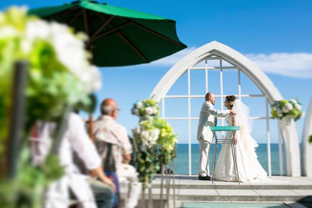 指帆亭のグルメインスタ