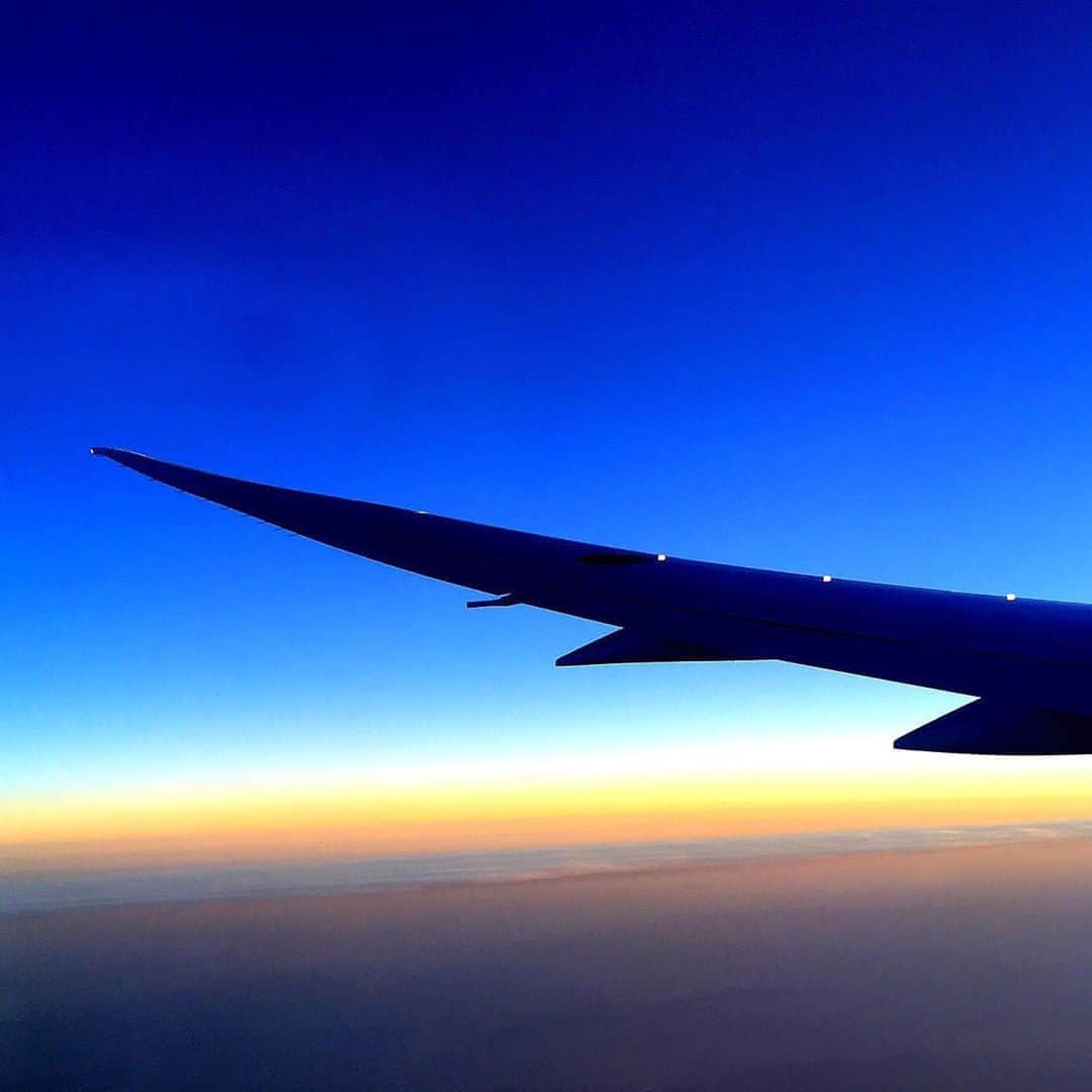 ANAさんのインスタグラム写真 - (ANAInstagram)「地平線に想いを馳せて...﻿ （Photo：@kochamarutarou）﻿ ﻿ #澄みきった #青空 #幻想的な #青のグラデーション #ANAブルー #オレンジ #夕日 #日没 #サンセット #夕景 #グラデーション #翼 #地平線 #ウイングレット #ソラマニ_マドカラ #ボーイング787 #b787 #clearsky #bluesky #gradation #orange #sunset #wing #flight #horizon #anablue #anaairplane #camera #ana_jp ﻿ ﻿ 機窓からの風景は「#ソラマニ_マドカラ」をつけて投稿してね📷インスタやANAの各メディアでご紹介していきます😊」8月12日 17時30分 - ana.japan