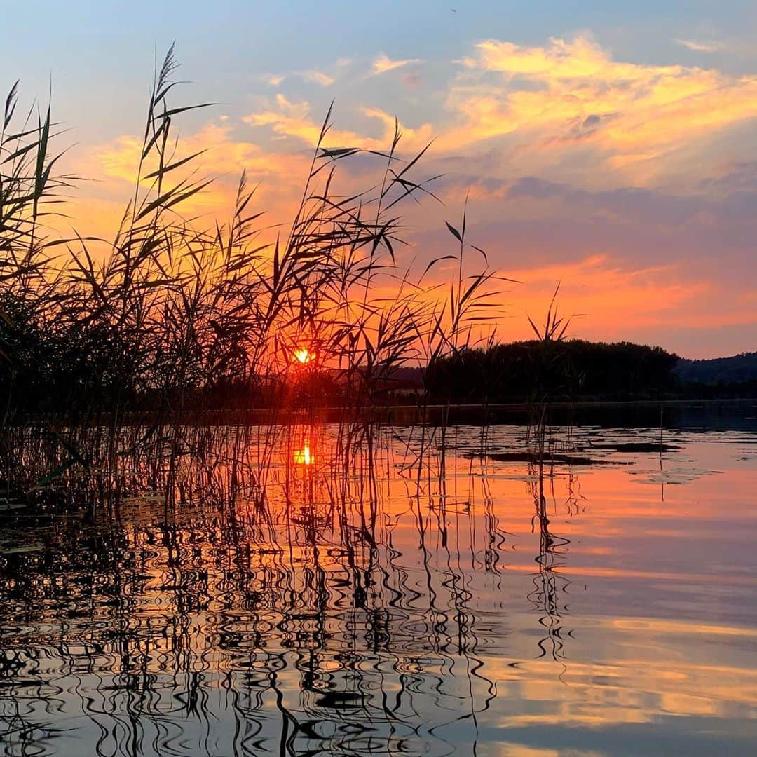 バレリー・イネルシさんのインスタグラム写真 - (バレリー・イネルシInstagram)「Beauty is all around us! Can you see it!  #peiceofhaven #earthandsky #newday #sunraise #natureisperfect #loveearth #natureswonder #naturesperfection #instanature  #landscape #landscapephotography #naturepower #travelaroundtheworld #travel #worldwonders #earth #earthlover #inspiration #relaxingplace #skyandwater #earthandwater #waterandearth #waterside」8月12日 17時43分 - valerie_inertie