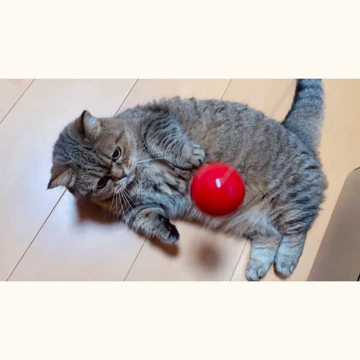 中島早貴のインスタグラム