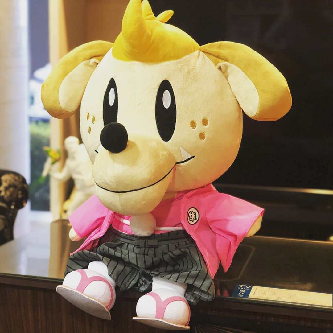 田中秀幸のインスタグラム：「ジェネ犬正月バージョン！#ジェネ高 ＃ジェネ犬」