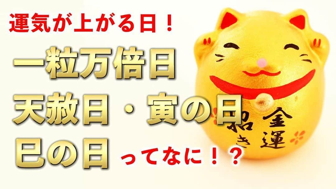 アポロン山崎さんのインスタグラム写真 - (アポロン山崎Instagram)「【YouTube更新】 本日8/12、 18時から 『一粒万倍日、天赦日、寅の日、巳の日』 21時から 『毎日ハッピー占い』 が更新されます。  明日は、一粒万倍日です。 どう過ごせば運気が上がるかチェックして下さい！  https://youtu.be/EvsLPeUFPD4 #アポロン #アポロン山崎 #アポロン山崎ハッピーチャンネル  #アポロン山崎毎日ハッピー占い  #アポロン山崎占いの館  #アポロン山崎の占い  #アポロン山崎のとーとつにエジプト神占い  #とーとつにエジプト神占い #一粒万倍日 #天赦日 #天しゃ日  #寅の日 #巳の日 #金運  #金運アップ  #財運 #財運アップ #開運 #運気アップ #運気上昇  #金運上昇  #金運をあげる #財運金運力アップ  #一粒万倍日だから  #幸せになれる  #幸運 #幸運を呼ぶ  #始めると運気が上がる #結婚 #引っ越し」8月12日 18時03分 - appollon223