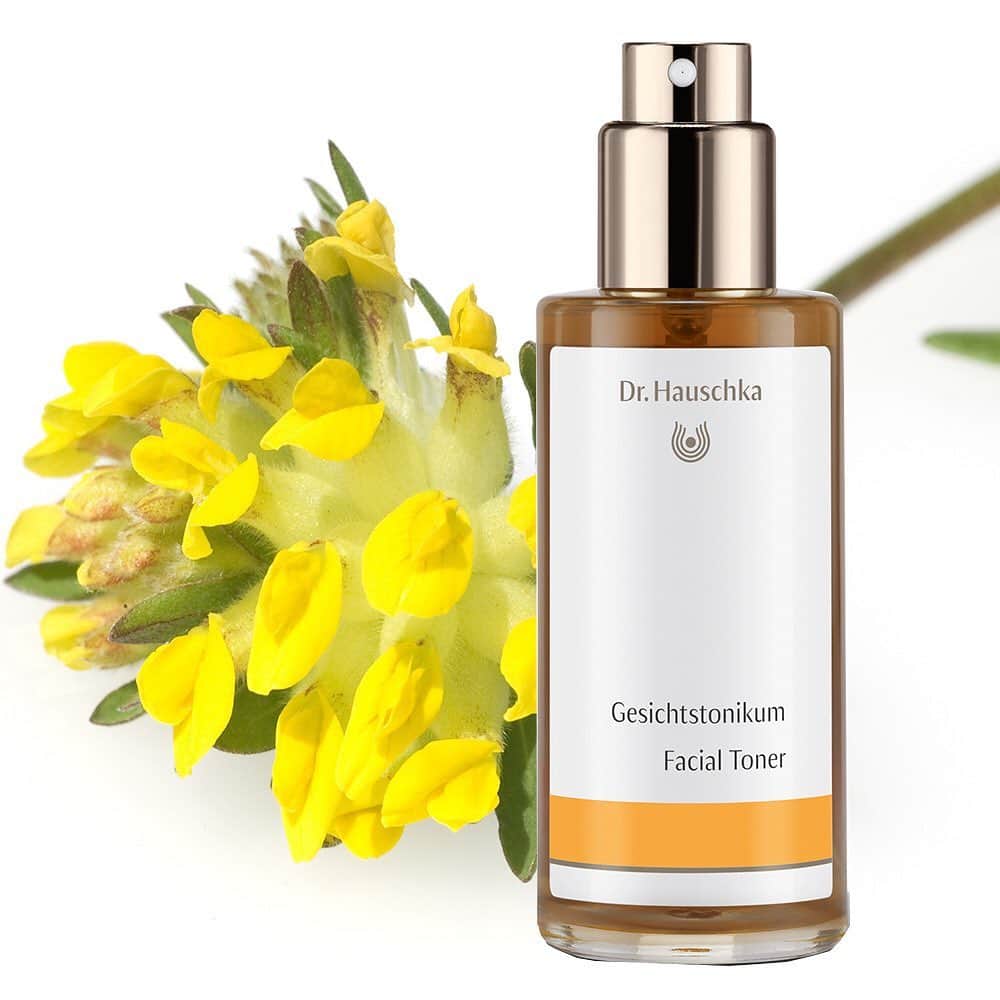 Dr. Hauschka Japan ドクターハウシュカさんのインスタグラム写真 - (Dr. Hauschka Japan ドクターハウシュカInstagram)「🌻20%OFF商品結果発表🌻⁠⠀ みなさまのコメントやご参加ありがとうございました。⁠⠀ .⁠⠀ .⁠⠀ 最も多かった商品は、クレンズクリームとクレンジングミルクでしたが、今回はコメントいただいた5アイテム全てを対象とさせていただくことにいたしました😀✨⁠⠀ ※商品情報はスワイプ👉⁠⠀ .⁠⠀ .⁠⠀ ・クレンジングミルク⁠⠀ 肌のバリア機能を守りながら、植物オイルでしっかり メイクや汚れを落とすミルククレンジング⁠⠀ .⁠⠀ .⁠⠀ ・クレンズクリーム⁠⠀ 泡立たない界面活性剤フリーの洗顔ペースト 毛穴汚れを落としながらゆらぎ肌をケア⁠⠀ .⁠⠀ .⁠⠀ ・フェイシャルトナー⁠⠀ アンチリスブルネラリアのエキスがたっぷりの 化粧水。使い続けると、肌の基礎体力がアップ⁠⠀ .⁠⠀ .⁠⠀ ・リバイタライジングデイクリーム⁠⠀ さらりとしたテクスチャーで使いやすい乳液タイプ お肌のトーンアップをしながらしっかり保湿⁠⠀ .⁠⠀ .⁠⠀ ・ボディオイル ＜バーチアルニカ＞⁠⠀ 天然香料のレモングラスの香りがここちよい セルライトや引き締めケアにぴったりの ボディオイル ⁠⠀ .⁠⠀ .⁠⠀ ⁠⠀ 期間限定&Dr.ハウシュカ公式アカウントをフォローしていただいているみなさま限定で20%OFFでお買い求めいただけます！期間中にクーポンコードをご利用の上、お買い求めください✨⁠⠀ .⁠⠀ .⁠⠀ 【SALE期間】⁠⠀ 8月13日(木)～8月20日(木)23：59⁠⠀ .⁠⠀ 【クーポンコード】⁠⠀ 27SPD9ST⁠⠀ .⁠⠀ .⁠⠀ ※ご購入の際はクーポンコードをご利用ください。⁠⠀ ※クーポンコードをご利用にならない場合20%OFF対象外となりますのでご了承ください。⁠⠀ ※クーポンコードは公式オンラインサイト限定となります。公式オンラインサイト以外のWEBサイトや店舗でのご利用はできかねますのでご了承ください。⁠⠀ ※期間限定となります。⁠⠀ ※他のクーポンとの併用は不可です。⁠⠀ ※本キャンペーンは都合により事前のお知らせなしに変更または終了となる場合がごじいますのでご了承ください。⁠⠀ .⁠⠀ .⁠⠀ #ドクターハウシュカ #Drハウシュカ ⁠⠀ #ナチュラルコスメ #オーガニックコスメ #スキンケア #ボディケア #夏コスメ #海外コスメ ⁠⠀ #セール #セール情報 #期間限定 #セール品 #セール中 #SALE #サマーセール #クレンジングミルク ⁠#乾燥ケア #乾燥対策 #ナチュラル #ボディケア #スキンケアマニア #保湿  #ひきしめボディ #ボディケアコスメ #ボディケア用品 #むくみ #むくみケア #セルライトケア #オイル美容 #キャンペーン実施中」8月12日 18時13分 - drhauschkajapan
