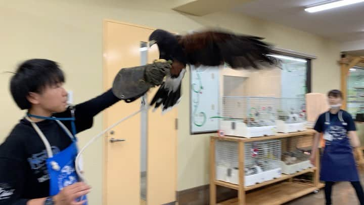 【公式】福岡ECO動物海洋専門学校のインスタグラム