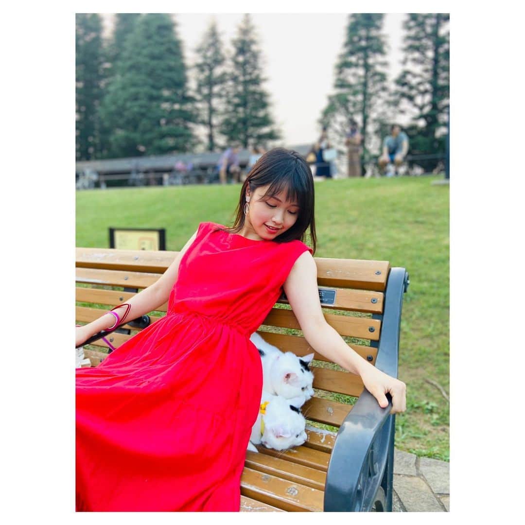 古野みうさんのインスタグラム写真 - (古野みうInstagram)「ウチのネコチャンらを散歩に連れてってみた！むちゃむちゃ怖がってたなぁ、なんかごめん…けどそんな所も愛しいのだ〜〜〜〜〜！🧚‍♀️  #つぶろむ #猫 #ねこすたぐらむ #ねこのいる生活 #猫のいる暮らし #猫好き #ねこのきもち #ねこさんぽ #猫散歩 #ちゅーるあげた #ちゃおちゅーる #公園散歩 #ニャーニャー #🐱 #🐈 #😸#🐾 #古野美優 #古野みう #ホリプロ #instagood #instadaily #0812 #tfl #l4l  #photooftheday #follow」8月12日 19時07分 - umiushi.mium