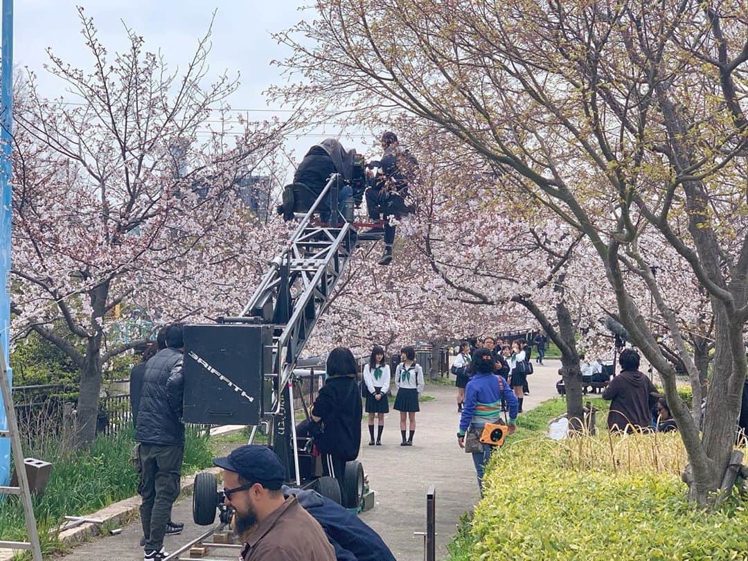 福本莉子さんのインスタグラム写真 - (福本莉子Instagram)「桜並木が綺麗でした🌸」8月12日 19時16分 - riko_fukumoto_