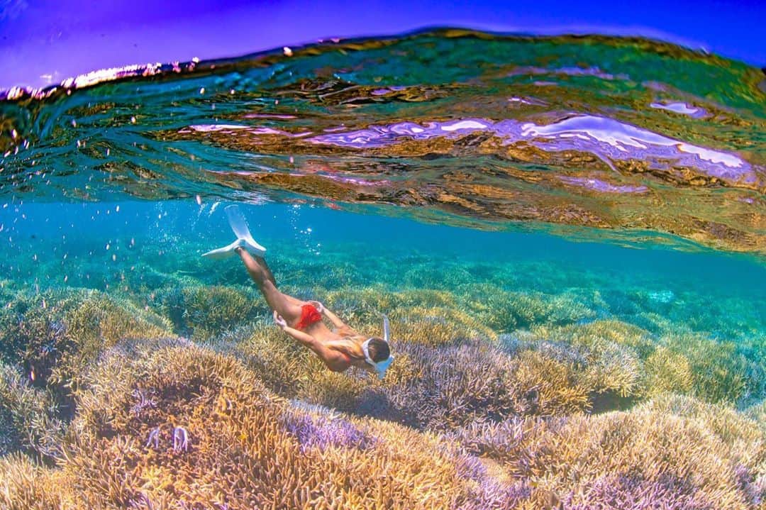 maakoさんのインスタグラム写真 - (maakoInstagram)「珊瑚がニコニコ💐 お魚がニコニコ🐠 太陽がニコニコ🌞 海がニコニコ🌊 わたしもニコニコ☺️🌼 みんなニコニコ🧡 #カラフル珊瑚のお花畑🌻  DIVING SHOP⛴ 📸photo by @aquastorykuni クニさんの写真はいつも幸せな気持ちになれる😌🤍🌼  🤿MASK&FINS @gull_diving1955」8月12日 19時57分 - maakomind
