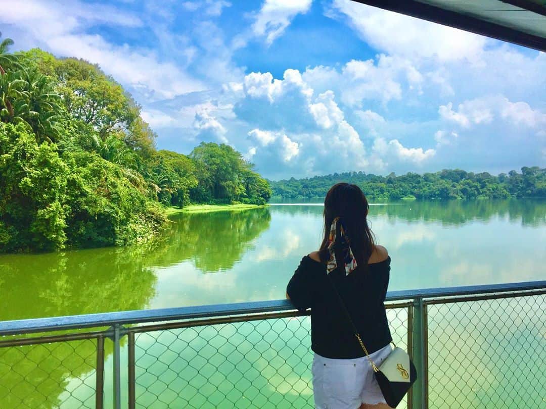 坂口莉果子のインスタグラム：「I wanna take a trip somewhere🥺 普通に旅行行ける日はいつくるのか✈️😷 ・ ・ ・ #trip  #abroad  #japanese  #summer  #zoo  #asia  #nature  #photo  #victoriassecret  #gu  #fashion  #過去pic  #旅行 #海外旅行  #旅  #シンガポール  #アジア  #旅行好きな人と繋がりたい  #動物園 #湖 #ポートレート #風景 #写真好きな人と繋がりたい #シンガポール動物園 #自然 #夏 #夏休み #思い出 #何気ない瞬間を残したい  #🇸🇬」