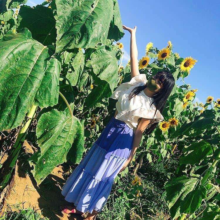 吉田万葉さんのインスタグラム写真 - (吉田万葉Instagram)「ひまわり畑🌻🌻(・ヮ・🌻)  #ひまわり #夏 #summer #花 #jk #sjk #Instagram #girl」8月12日 20時16分 - manyo.0122