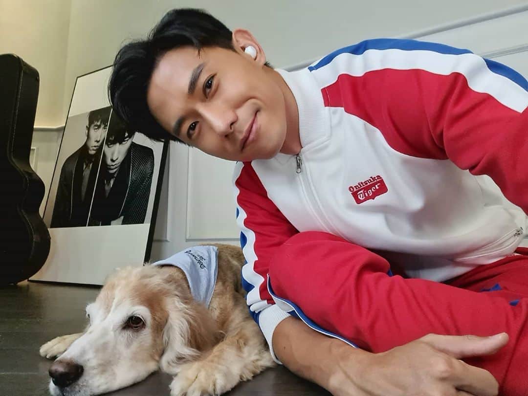 デスモンド・タンのインスタグラム：「This boy REALLY gave me a scare last night! He couldn't get back on his feet and was whining in pain. I was heartbroken when I saw him struggling to just adjust his body when he was lying down. Poor Hoshi must be so scared and puzzled why he couldn't move normally. I could even hear him whimpering throughout the night when I was getting some shut-eye for my shoot today.   Thank you my vet and friend Dr. Rachel Tong @springveterinarycare for responding promptly, putting things into perspective for me and helping me to understand his arising signs of arthritis due to ageing. I'm confident that we have this in control and this fighter will get better! I'm glad that Hoshi is much better today and he's back on his paws and walking fine now.   Now, I guess I have to accept that my baby boy is no longer a baby anymore. He's ageing and moving on to his next phase of life as a senior dog. He will need more TLC and health care, and I'll definitely make sure he will be in good hands!  Gentle reminder to all fellow pawrents, "Prevention is better than cure" and love our furkids with all our hearts! 💙  #hoshitan #陈河狮 #arthritis」