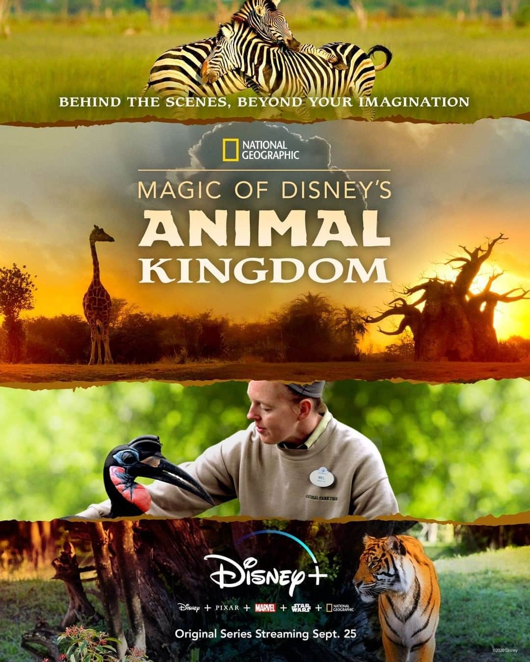 Disneyさんのインスタグラム写真 - (DisneyInstagram)「You’re in for a wild ride. Start streaming Magic of Disney’s Animal Kingdom, an Original Series from @NatGeo narrated by @JoshGad, September 25 on #DisneyPlus.」8月13日 2時00分 - disney