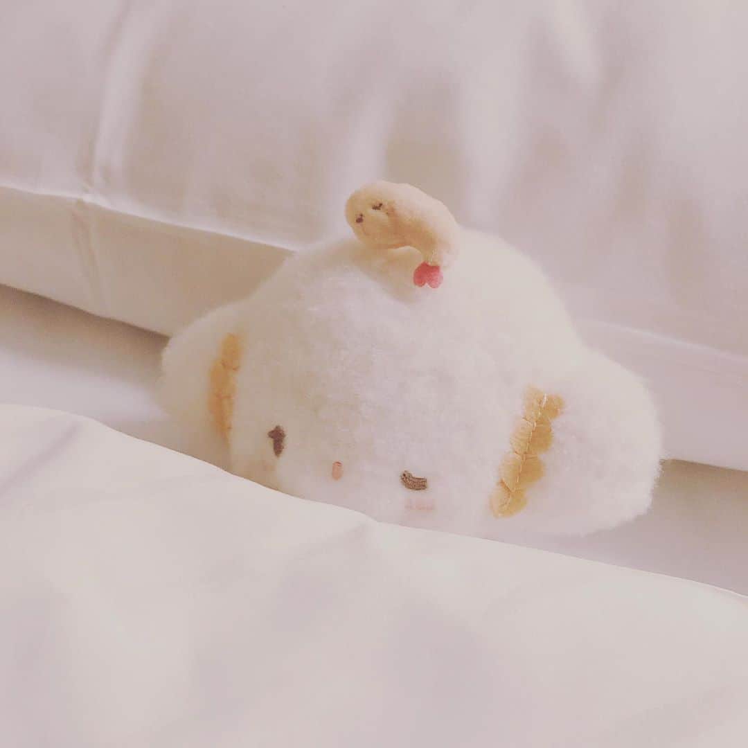 こぎみゅん（サンリオ）のインスタグラム：「みんな、土曜日はSHOWROOMの配信見てくれてありがとうみゅん･･♪ 皆にお誕生日をお祝いしてもらえてとっても楽しかったみゅん･･♡ http://eng.mg/29d6e  エビちゃんと羊さんを数えて寝るみゅん･･ おやすみみゅん･･  #すやーみゅん #サンリオ #キャラクター #小麦粉の妖精 #こぎみゅん #sanrio #character #cogimyun」