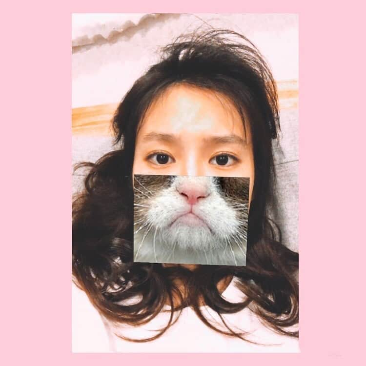 恒松祐里さんのインスタグラム写真 - (恒松祐里Instagram)「⋆ 生まれ変わったら、来世は猫になりたいと小さい頃から考えている🐾 もっと言うなら私の祖母の猫になるのが来世の夢。 （つまり祖母は人間じゃないといけないのですが、、！ 祖母の動物扱い方がとても上手いんですよね☻ 絶対幸せになれる☻） ㅤㅤㅤㅤㅤㅤㅤㅤㅤㅤㅤㅤㅤ #髪の毛ボサボサなのは撮影後だからです😼」8月12日 21時03分 - yuri_tune