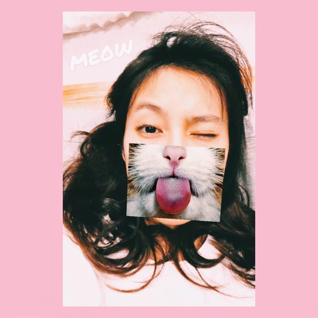 のインスタグラム：「⋆ 生まれ変わったら、来世は猫になりたいと小さい頃から考えている🐾 もっと言うなら私の祖母の猫になるのが来世の夢。 （つまり祖母は人間じゃないといけないのですが、、！ 祖母の動物扱い方がとても上手いんですよね☻ 絶対幸せになれる☻） ㅤㅤㅤㅤㅤㅤㅤㅤㅤㅤㅤㅤㅤ #髪の毛ボサボサなのは撮影後だからです😼」