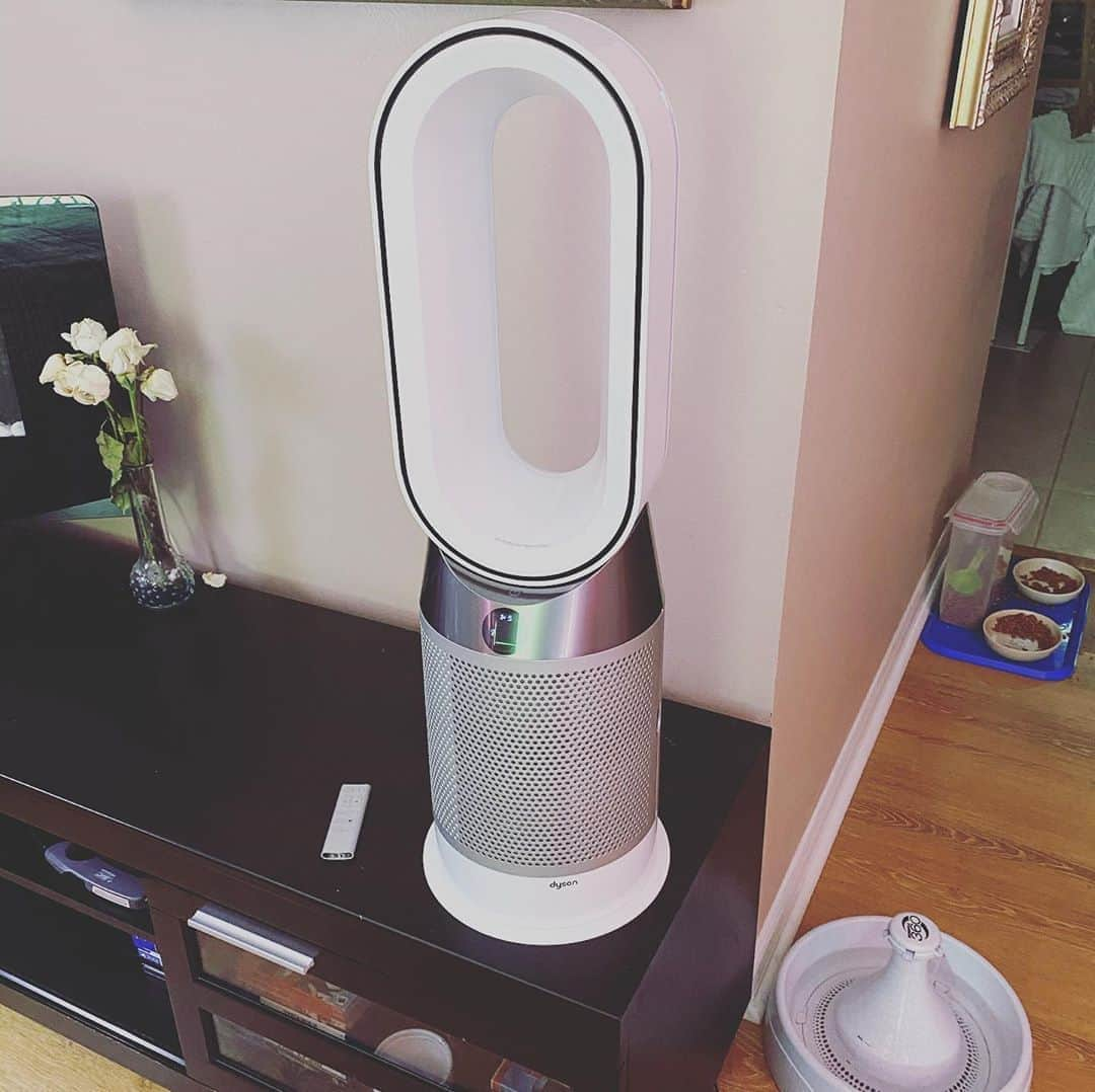 Dysonさんのインスタグラム写真 - (DysonInstagram)「As temperatures rise. Comfort levels drop. Keep cool with Dyson’s air purification technology. Discover more through the link in our bio. 📷@dps_daisy #dyson #dysonhome #coolingfan #coolair #keepcool #heatwave #keepingcool #coolingdown」8月12日 21時08分 - dyson